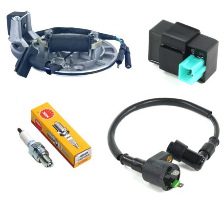 Complet Set Universal Magneto + Spark + Coil Line + CDI
