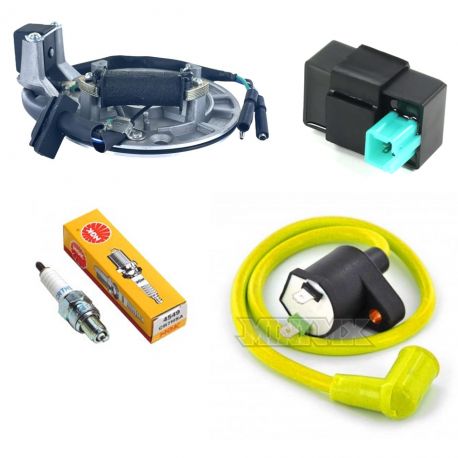 Complet Set Universal Magneto + Spark + Coil Line + CDI