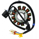 Stator d\'allumage moteur vertical - 300cc Liquide