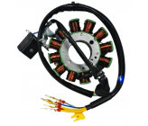 Stator d'allumage moteur vertical - 300cc