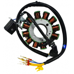 Stator d'allumage moteur vertical - 300cc