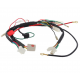 Faisceau électrique Zongshen