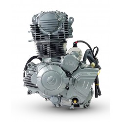 Moteur vertical 4T YX - 300cc Demarreur Electrique - Refroidissement à air