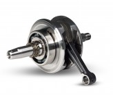 Albero motore - ERZ300L