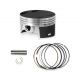 Pistone 74mm - ERZ300L