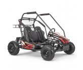 Buggy elettrico 2000W - Panther