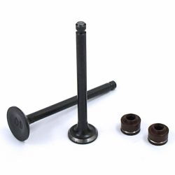 Valves + Valve Stem Seals -...