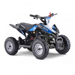 Pocket Quad Kerox Rex 49cc...