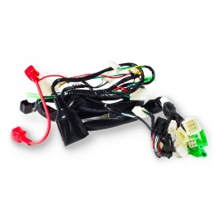 Wiring harness - DAX...