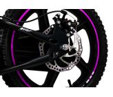 Draisienne Electrique CRZ Dreely 12" 24V 80Watts