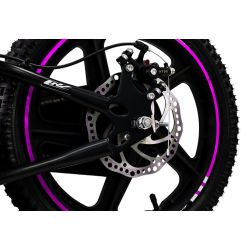 Draisienne Electrique CRZ Dreely 12" 24V 80Watts