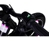 Draisienne Electrique CRZ Dreely 12" 24V 80Watts