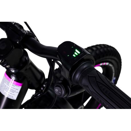 Draisienne Electrique CRZ Dreely 12" 24V 80Watts