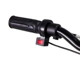 Draisienne Electrique CRZ Dreely 12" 24V 80Watts