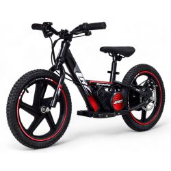 Bici bilanciata elettrica...