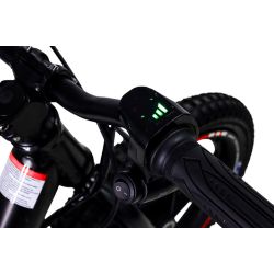 Draisienne Electrique CRZ Dreely 12" 24V 80Watts