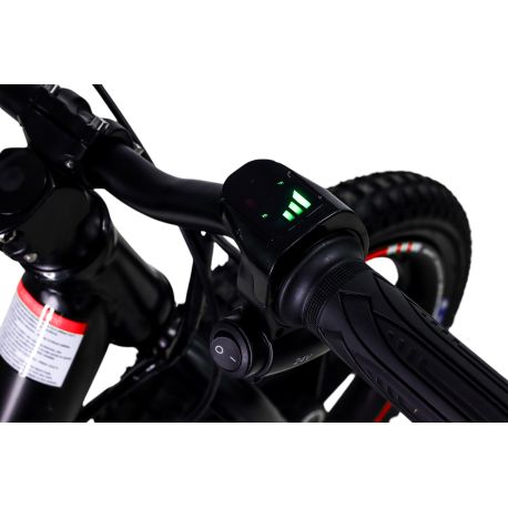 Draisienne Electrique CRZ Dreely 12" 24V 80Watts