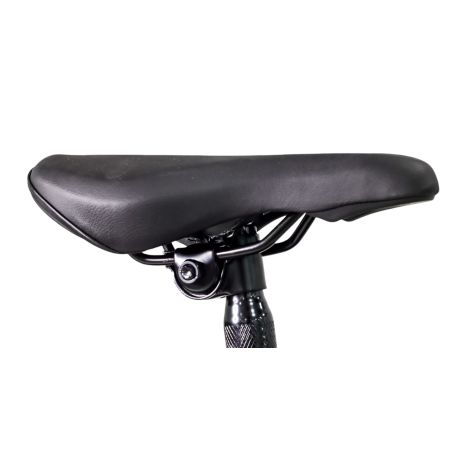 Draisienne Electrique CRZ Dreely 12" 24V 80Watts