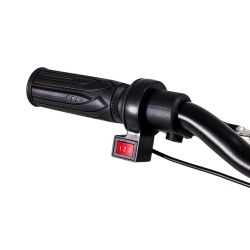 Draisienne Electrique CRZ Dreely 12" 24V 80Watts