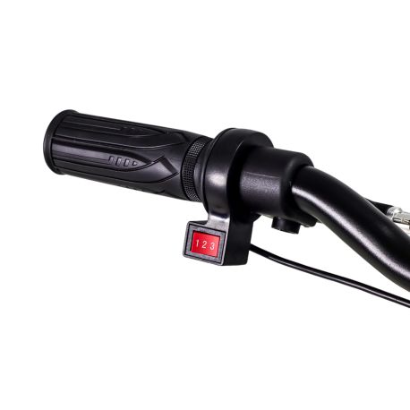 Draisienne Electrique CRZ Dreely 12" 24V 80Watts