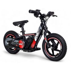Bici bilanciata elettrica...
