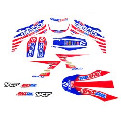 Kit de Decoração YCF GEICO...