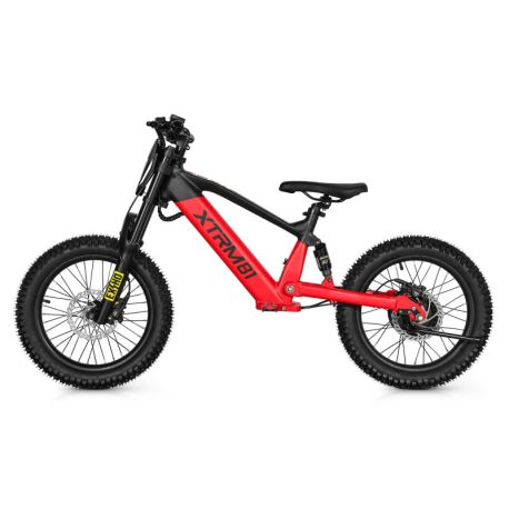 Draisienne électrique 18" 36V 500W DX
