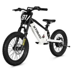 Draisienne électrique 18" 36V 500W DX