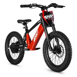 Bicicletta elettrica CRZ...