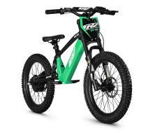 Draisienne électrique CRZ EX-20&quot; 36V 500W 7,8Ah - Vert