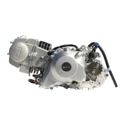 Motore 125cc - Avviamento basso - LIFAN