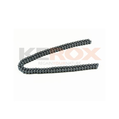 Transmission chain - 219H - 116 links