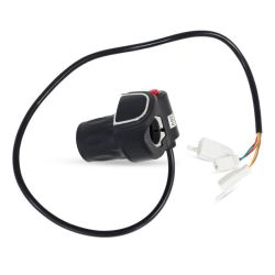Manopola acceleratore...