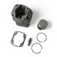 Kit cilindro/pistone - 60cc - 2 tempi