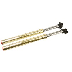 Fourche STAGGS Gold Edition (730mm) pour Dirt Bike