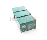 Pack 3 batterie - 6-DZM-12 12V12Ah - Quad elettrico