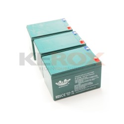 3x Batterie-Pack 6-DZM-12...