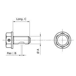Bouchon de vidange aimanté - TECNIUM - M14