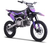 Pit Bike - CRZ 150BW 14"/17" - (2025)