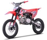Pit Bike - CRZ 150BW 14"/17" - (2025)