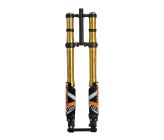 Fourche + TéFASTACE ALX13RC 2.0GOLD 60LBS SUR-RON LIGHTBEE