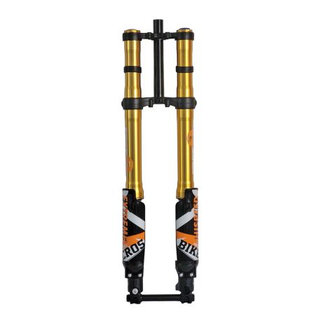 Fourche + TéFASTACE ALX13RC 2.0GOLD 60LBS SUR-RON LIGHTBEE