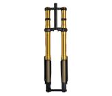 Fourche + TéFASTACE ALX13RC 2.0GOLD 60LBS SUR-RON LIGHTBEE