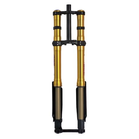 Fourche + TéFASTACE ALX13RC 2.0GOLD 60LBS SUR-RON LIGHTBEE