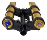 Fourche + TéFASTACE ALX13RC 2.0GOLD 60LBS SUR-RON LIGHTBEE