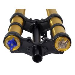 Fourche + TéFASTACE ALX13RC 2.0GOLD 60LBS SUR-RON LIGHTBEE