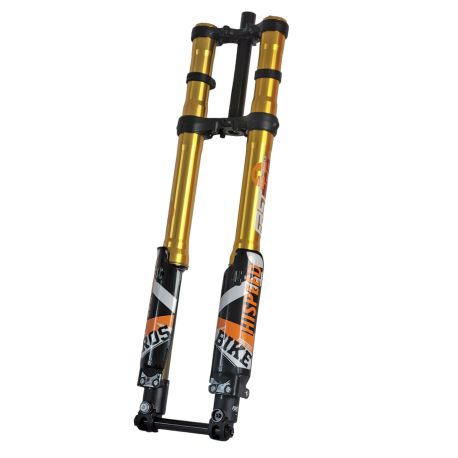 Fourche + TéFASTACE ALX13RC 2.0GOLD 60LBS SUR-RON LIGHTBEE
