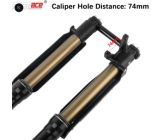 Fourche + TéFASTACE ALX13RC 2.0GOLD 60LBS SUR-RON LIGHTBEE
