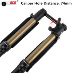 Fourche + TéFASTACE ALX13RC 2.0GOLD 60LBS SUR-RON LIGHTBEE