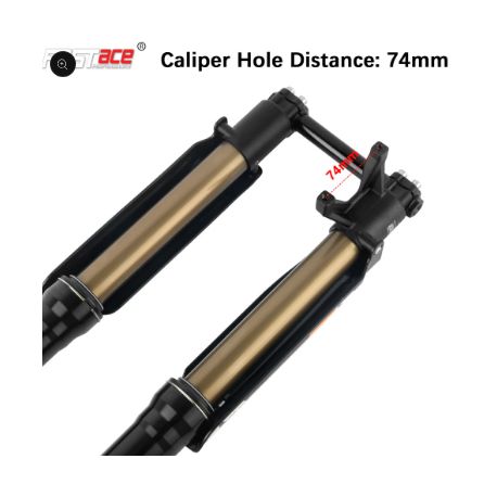 Fourche + TéFASTACE ALX13RC 2.0GOLD 60LBS SUR-RON LIGHTBEE